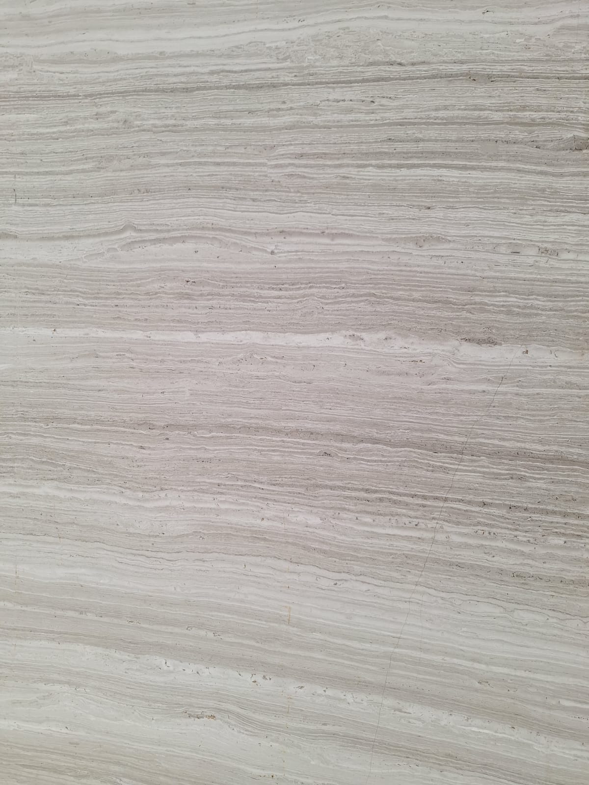 Photo 2025 04 10 10 01 43(1)